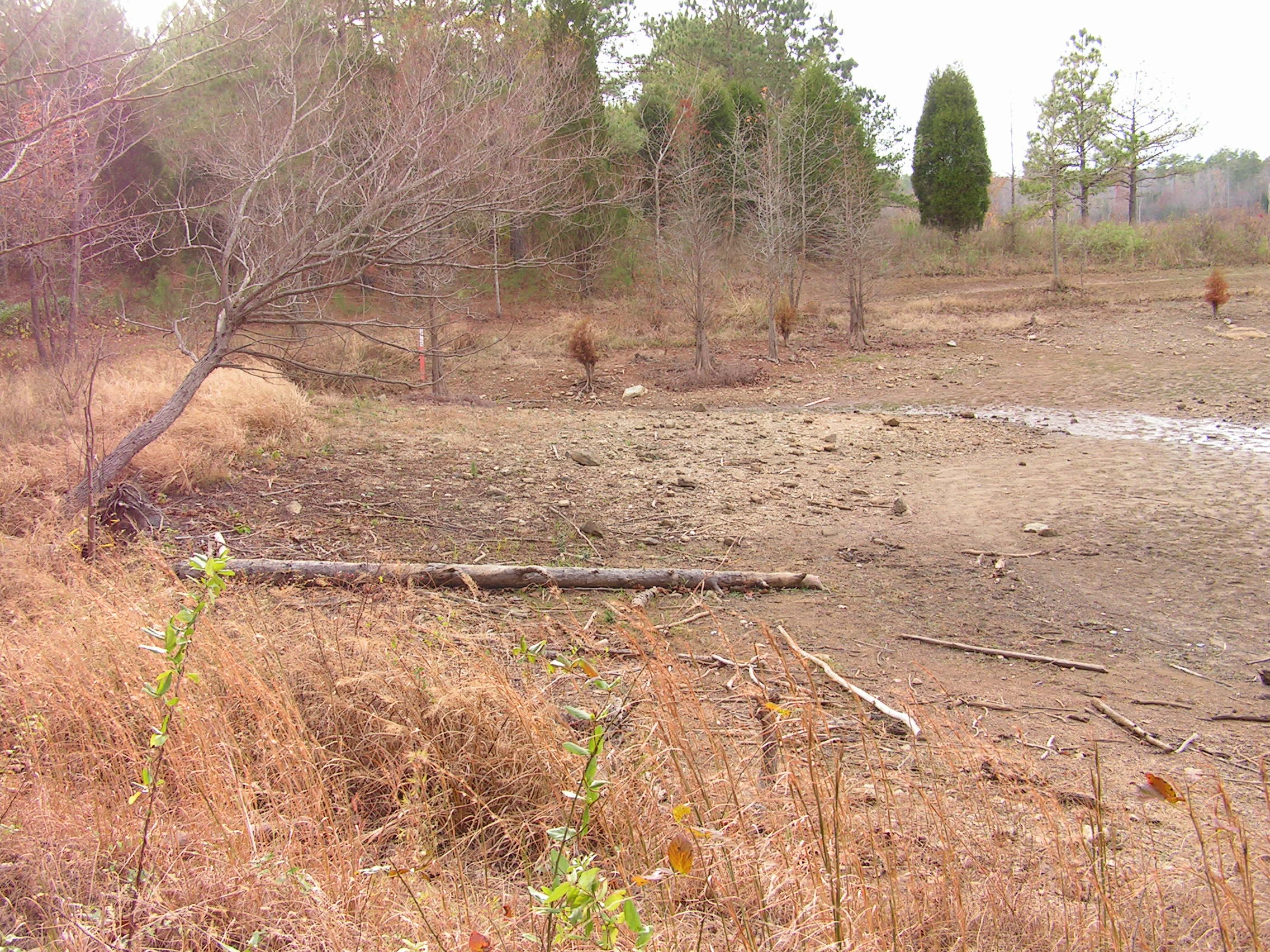 ./2005/Falls Lake Low Water/Fall Lake low nov 0013.JPG